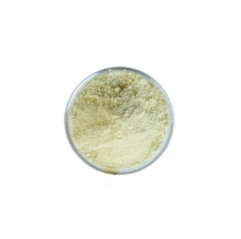 High Purity Phosphatidylserine (PS) Powder