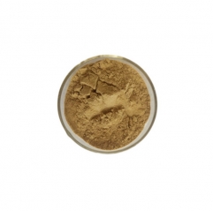 Coprinus Comatus Extract Powder with Polysaccharides