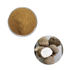 Tiger Milk Mushroom Extract Powder