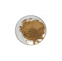 Tiger Milk Mushroom Extract Powder