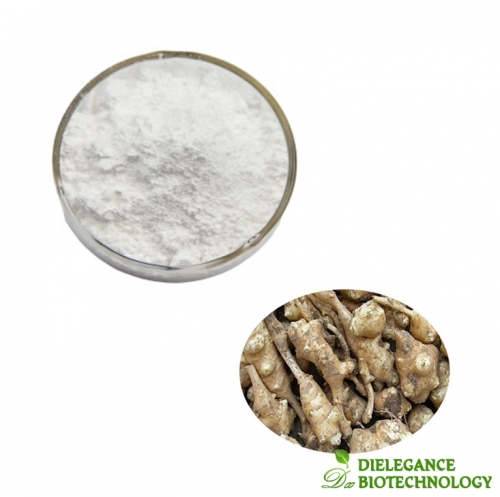 Pure Inulin Powder