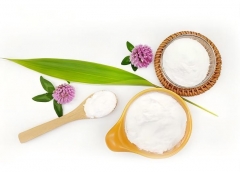 Pure Inulin Powder