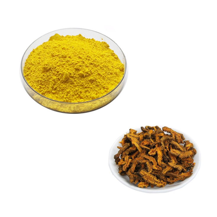 Berberine Hydrochloride Powder: High-Purity Botanical Extract for Modern Supplement Formulations