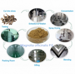 Magnolia Officinalis Bark Extract Powder
