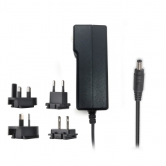 24V2.5A Interchangeable Plug AC DC Adapter