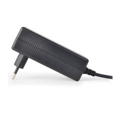 AC DC 12V 4A Plug In Power Adapter