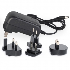 24V 1A Interchangeable AC/DC Power Adapter