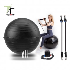 Exercise Ball 65 cm with Stainless Steel Pilates Bar Set