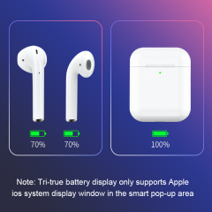 DL200 TWS Pro 2·HIGH-END VERSION
