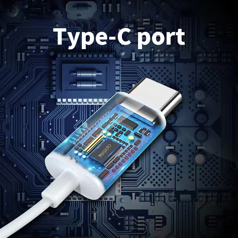 DR118 Digital Chip·TYPE-C Fully Compatible Wire Control Earphone