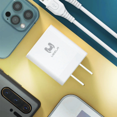 DC01-U 2.4A Smart Fast Charger