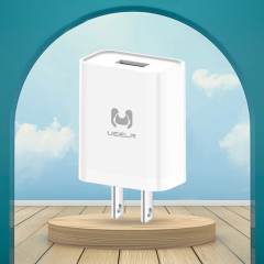 DC01-U 2.4A Smart Fast Charger