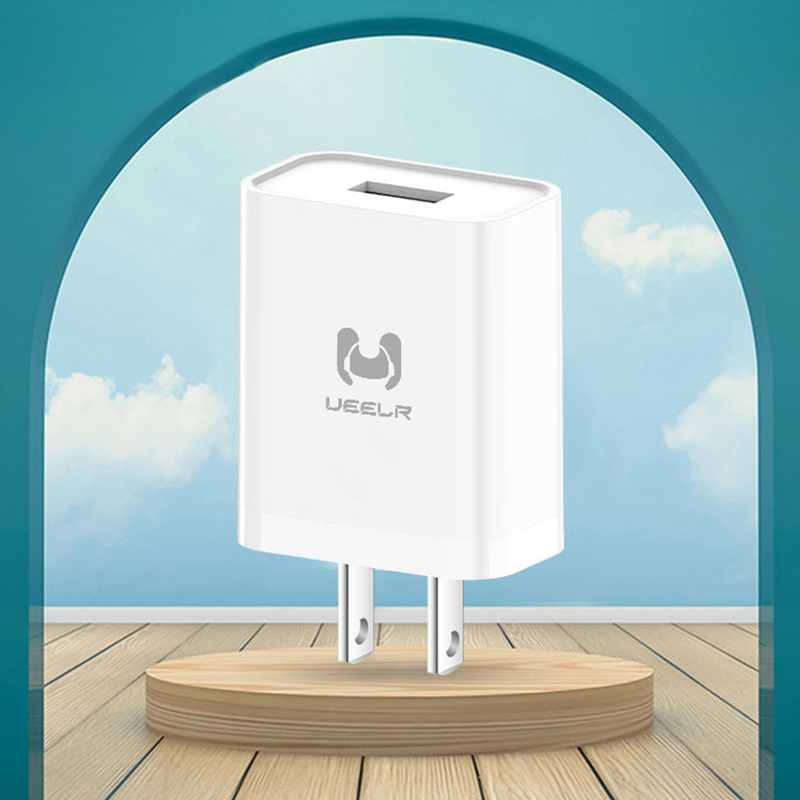 DC01-U 2.4A Smart Fast Charger