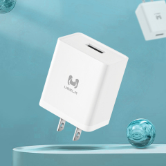 DC01-U 2.4A Smart Fast Charger