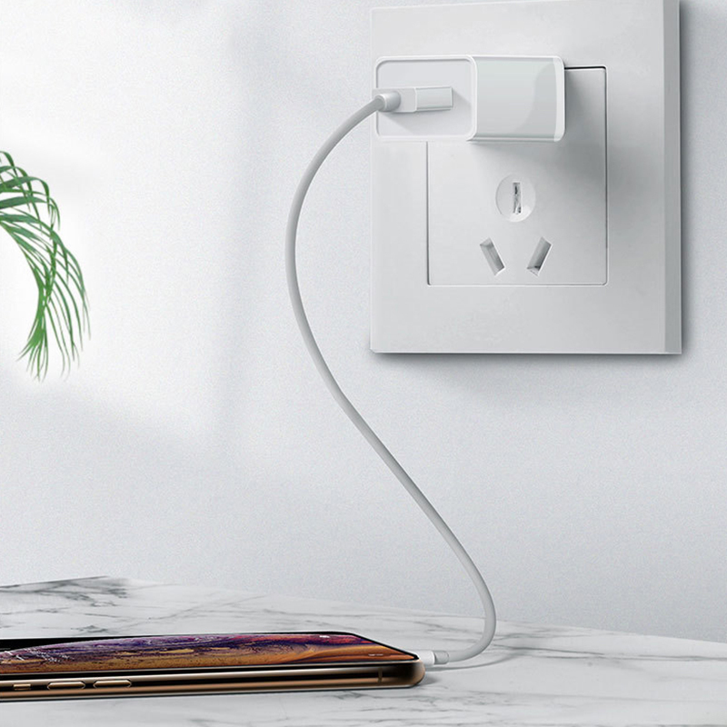 DC01-U 2.4A Smart Fast Charger