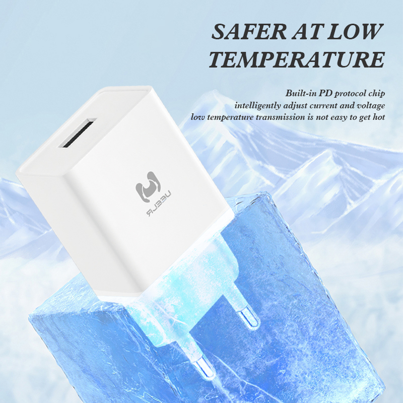 DC01-E 2.4A Smart Fast Charger