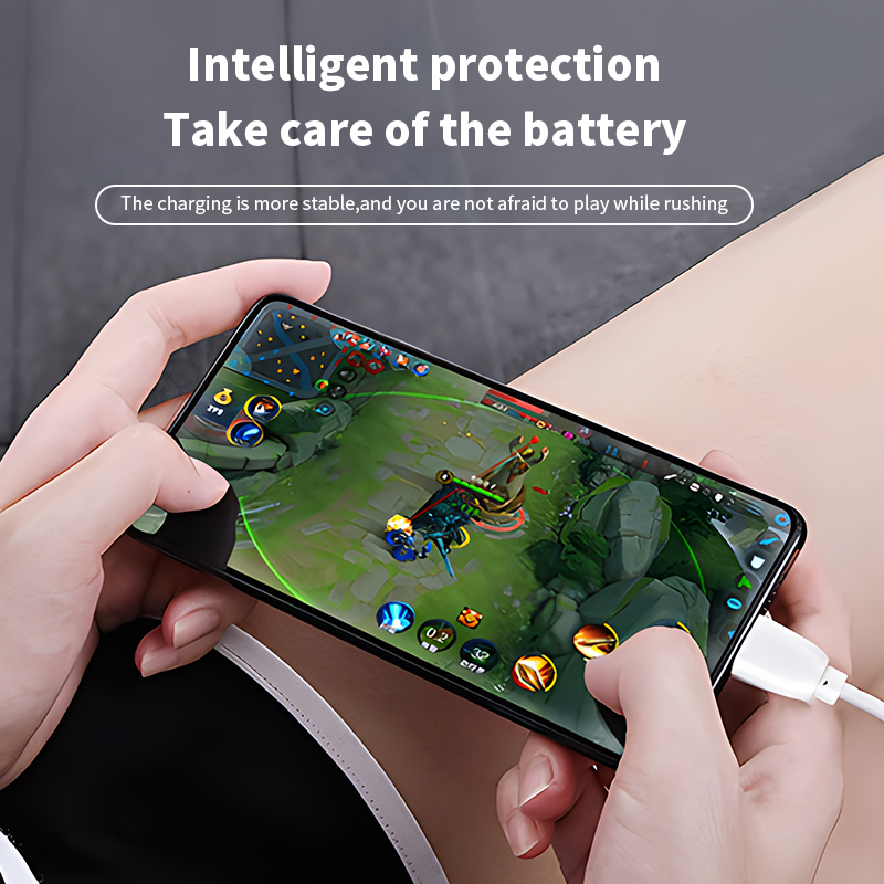 DX254 Fast Charging Data Cable