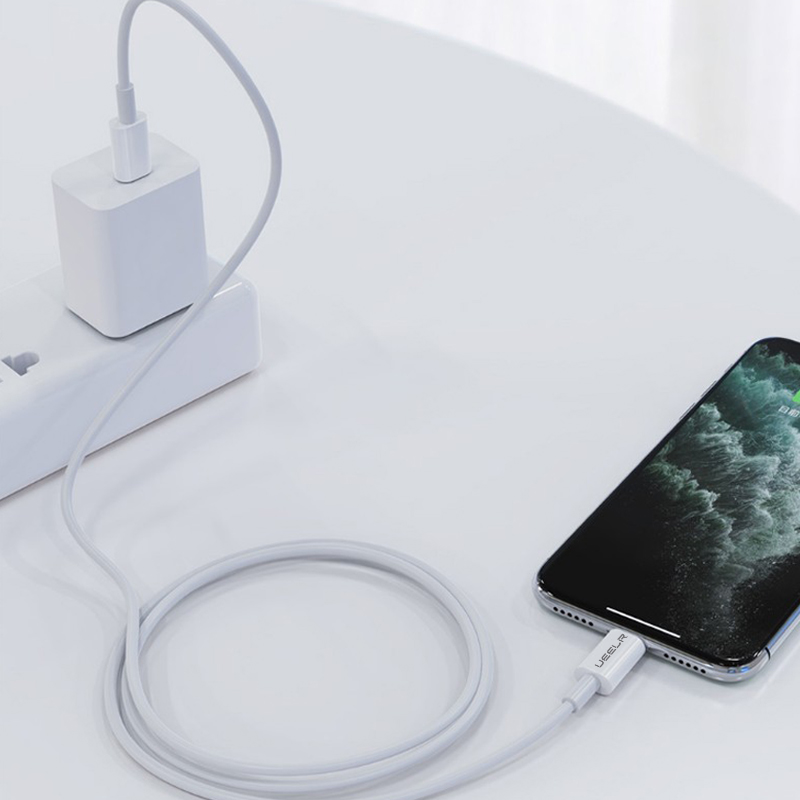 DX262 Fast Charging Data Cable