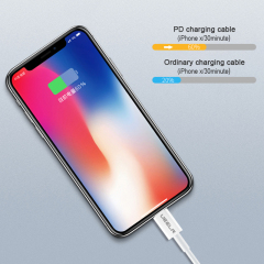 DX291 20W PD Fast Charging Data Cable 1M