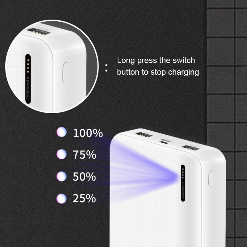 DY03 10000mAh Dual USB·Polymer Power Bank