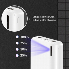 DY03 10000mAh Dual USB·Polymer Power Bank