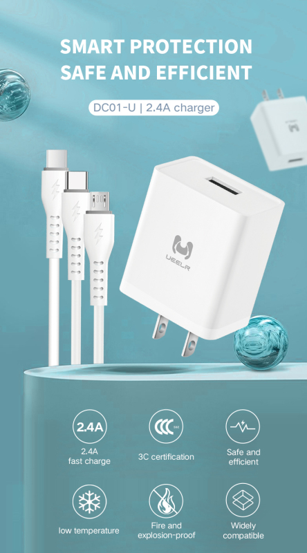 DT01-U 2.4A Smart Security Charger