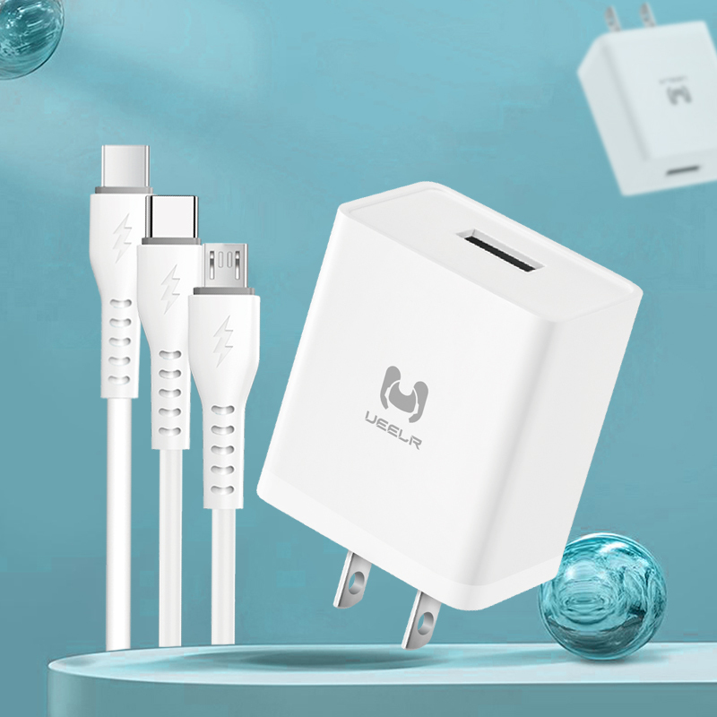 DT01-U 2.4A Smart Security Charger