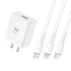 DT01-U 2.4A Smart Security Charger