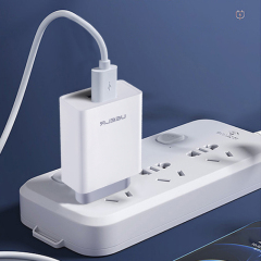 DT03-E 2.4A Smart Security Charger Dual USB Charging