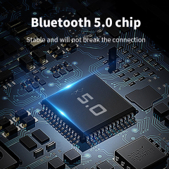 DL107 True Wireless Earphone