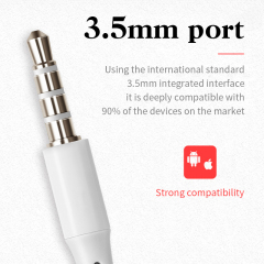 DR131W Type-C In-ear Wired Earphone