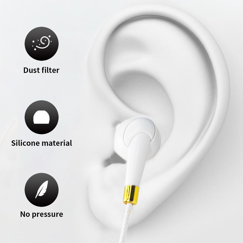 DR131W Type-C In-ear Wired Earphone