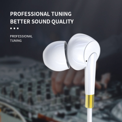 DR131W Type-C In-ear Wired Earphone