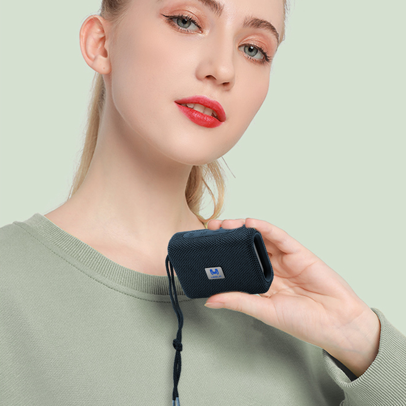 TG-313(DV06) MINI PORTABLE WIRELESS SPEAKER
