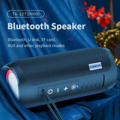 TG-227(DV09) PORTABLE WIRELESS SPEAKER