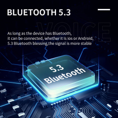 TG-325(DV11) PORTABLE LED FLASHING LIGHT WIRELESS SPEAKER