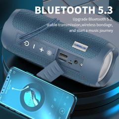 TG-227(DV09) PORTABLE WIRELESS SPEAKER