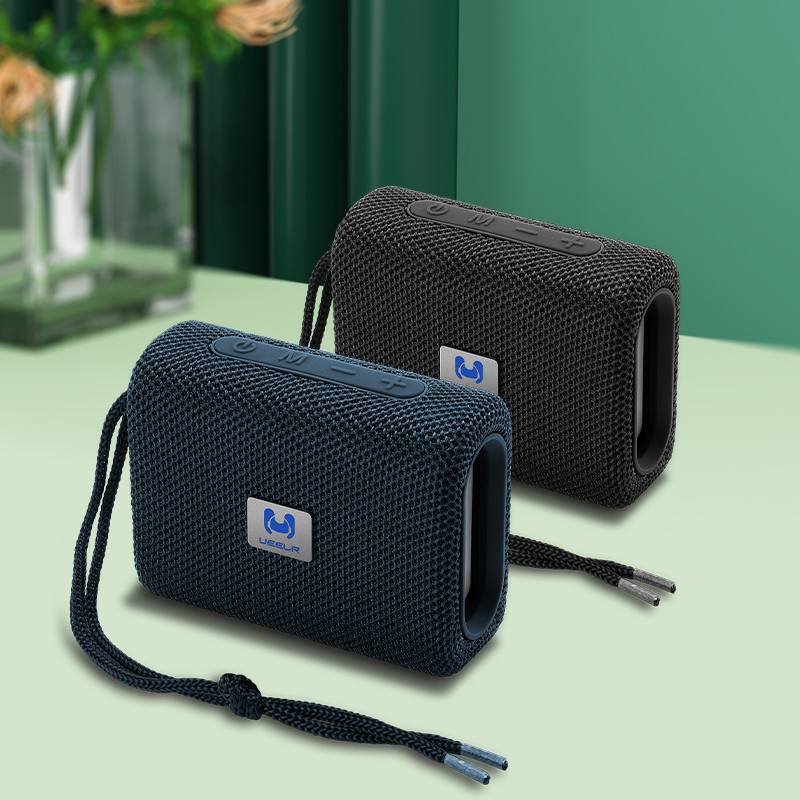 TG-313(DV06) MINI PORTABLE WIRELESS SPEAKER