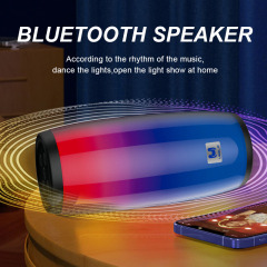 TG-317(DV10) Portable Wireless Speaker LED FLASHING LIGHT