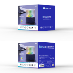 TG-325(DV11) PORTABLE LED FLASHING LIGHT WIRELESS SPEAKER