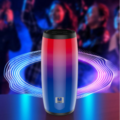 TG-317(DV10) Portable Wireless Speaker LED FLASHING LIGHT