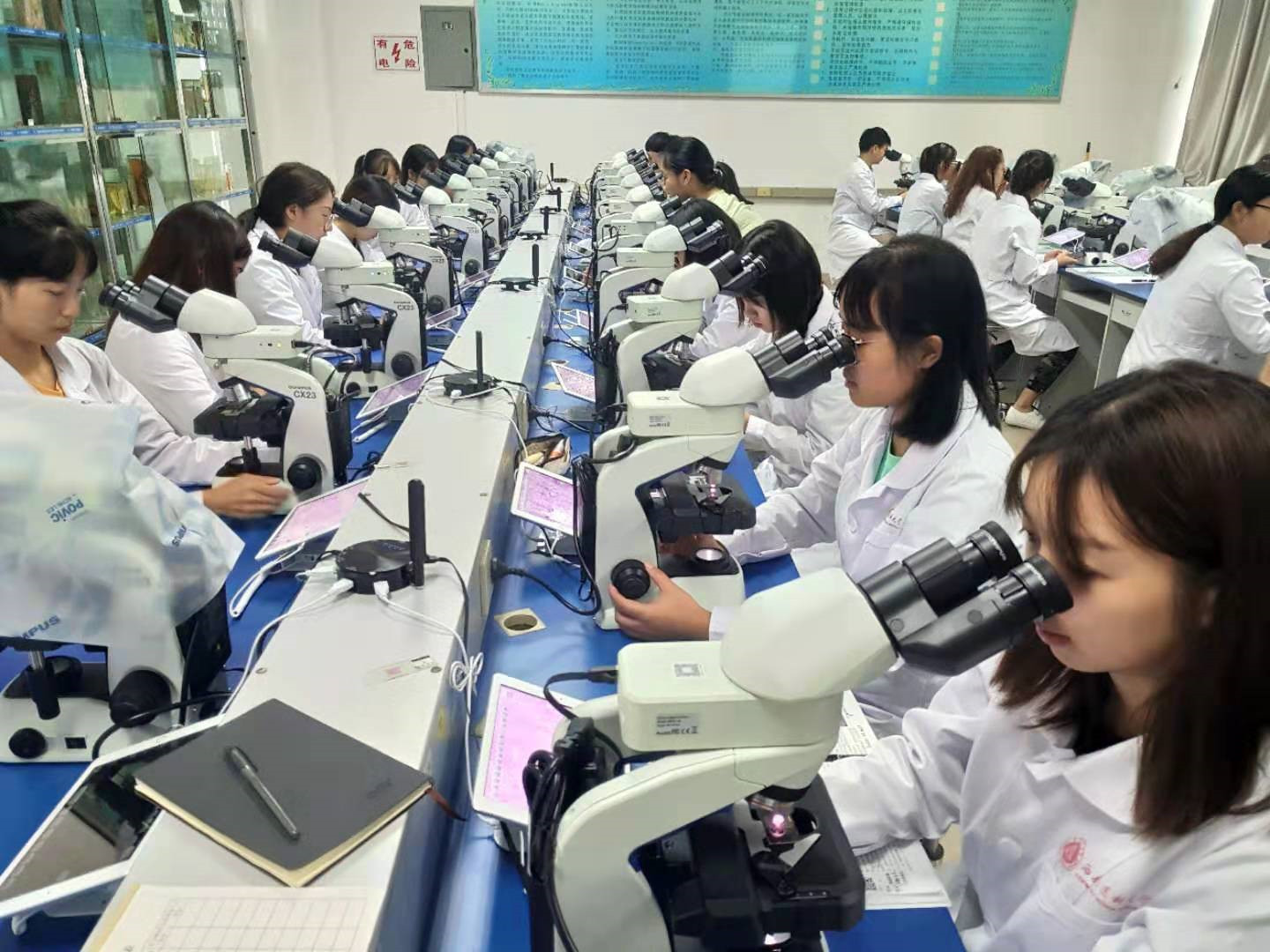 GUANGZHOU OSTEC ELECTRONIC TECHNOLOGY CO.,LTD