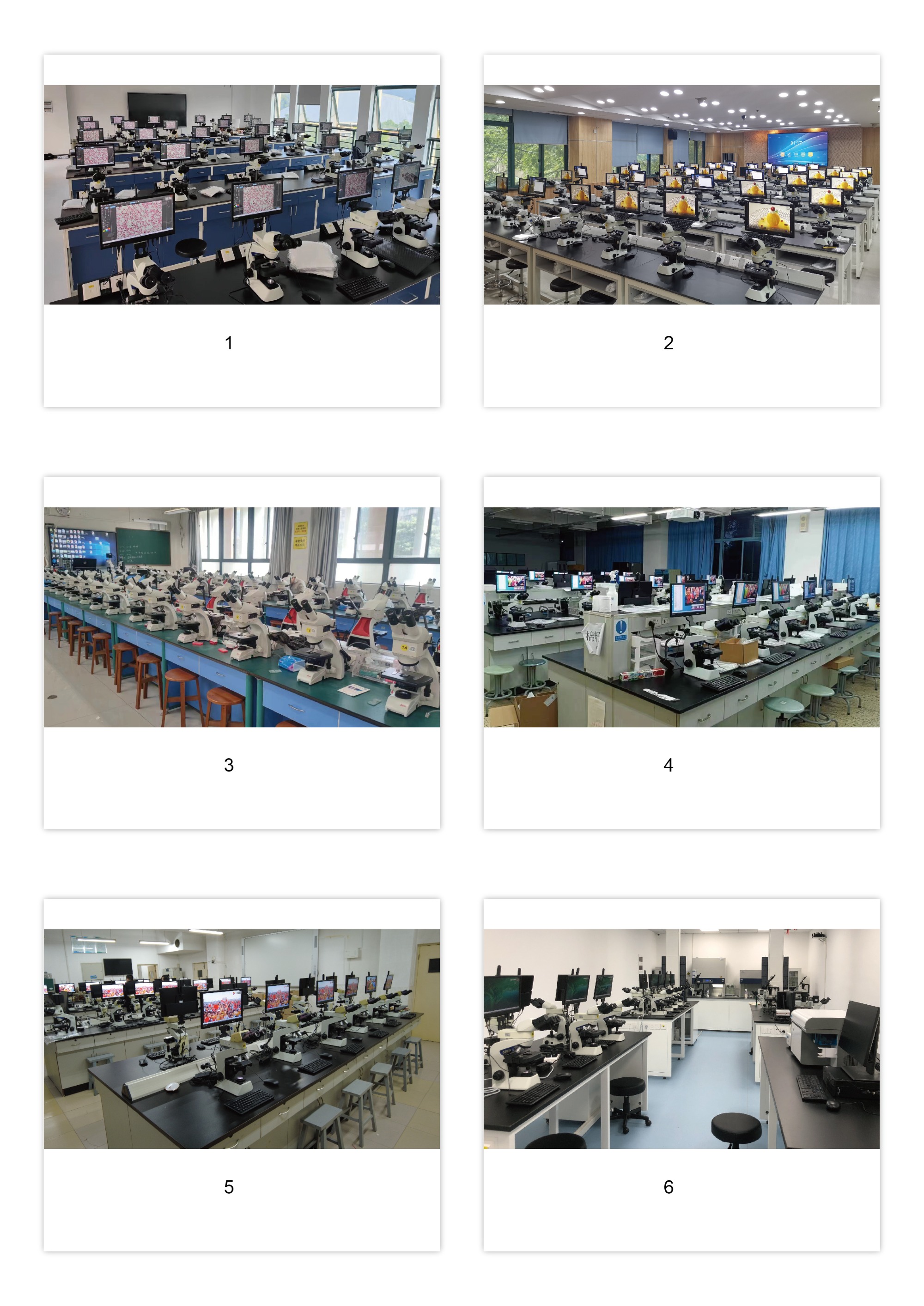 5G WiFi Digital Microscope Interactive System,Digital Microscope