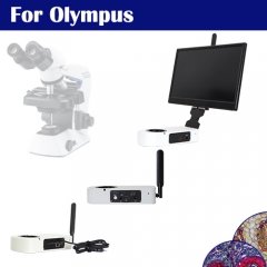 For Binocular Upright Microscopes (Life sciences)