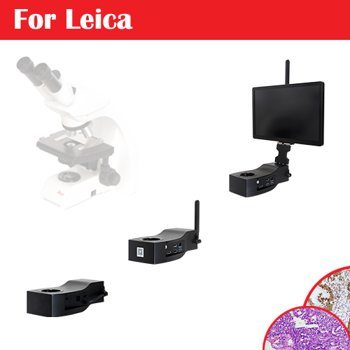 For Binocular Upright Microscope(6G WiFi)