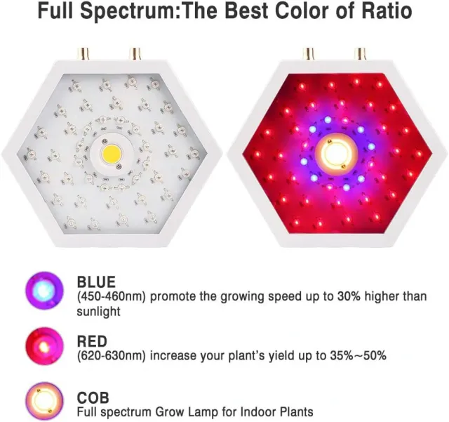 Moobibear Grow Lights for Indoor Plants Full Spectrum