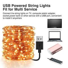 66FT USB Powered LED Fairy String Lights, Warm White