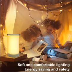 ORGED Smart Bedside Table Lamp Rechargeable Atmosphere Decor LED Touch Control Night Table