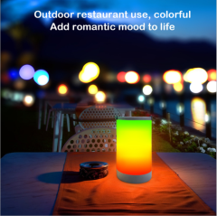 ORGED Smart Bedside Table Lamp Rechargeable Atmosphere Decor LED Touch Control Night Table