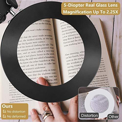 LED Magnifying Lamp with Clamp-5X